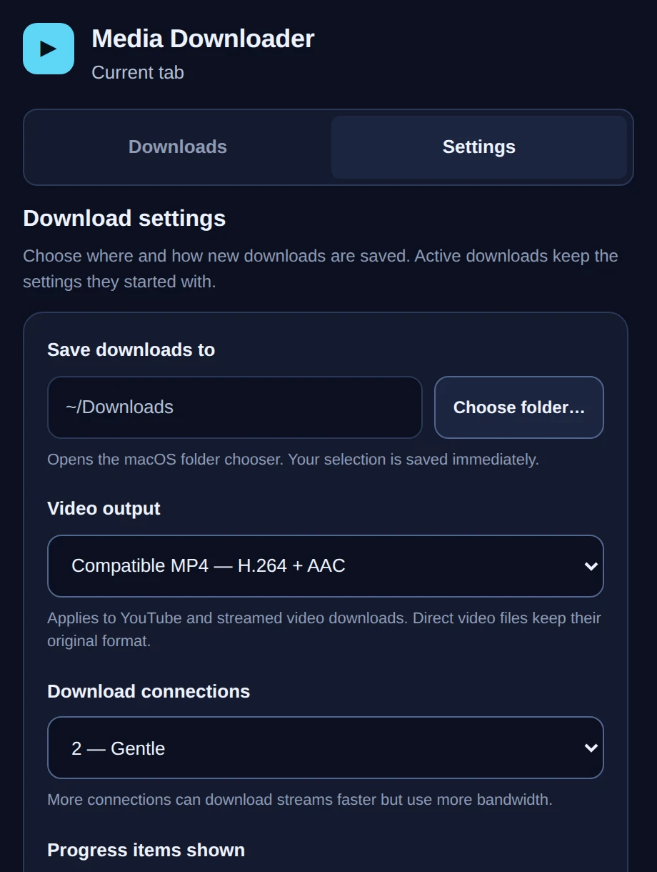 Real Media Downloader extension settings showing download folder, video format and connection controls.